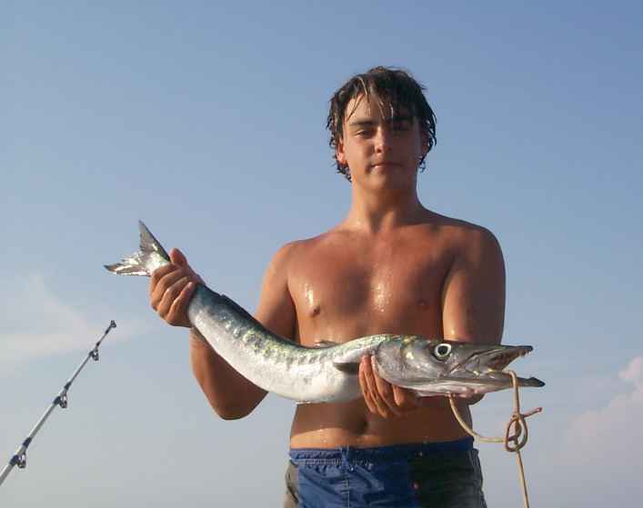 barracuda.jpg (16199 byte)